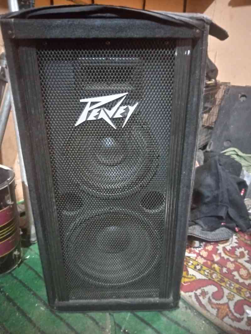 peavey 1210dl