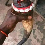 1681859904645_1667298351-56-the-best-powerful-herbalist-in-nigeria.jpg