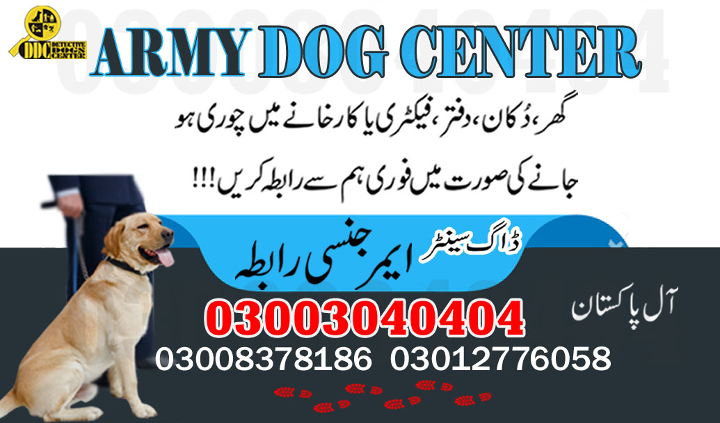 1683057637462army dog center 1.jpg