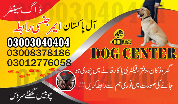 1683137797308army dog center sukkur.jpg