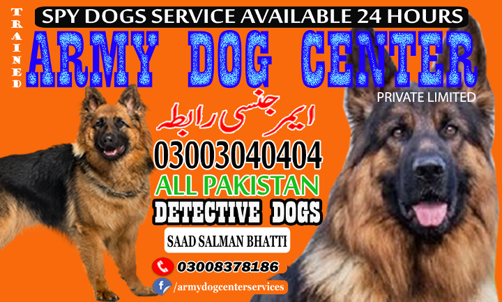 1683917952871armi dog center.jpg