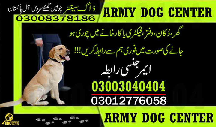 1684503288528Army dog center gwadar 03003040404-suragh rasan kuty,bulri shah karim.jpg