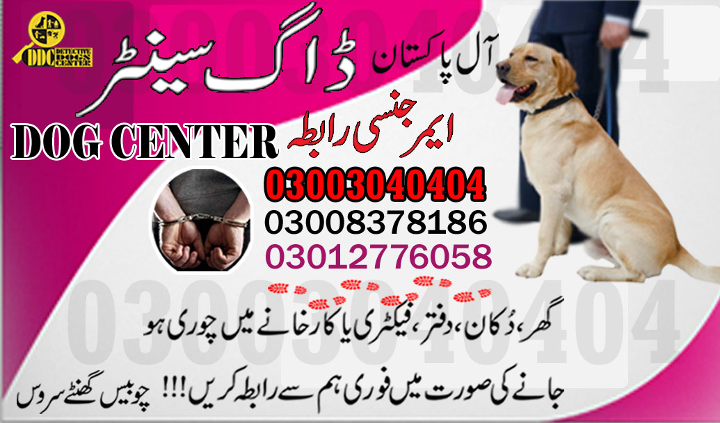 1684504229328Army dog center gwadar 03003040404-suragh rasan kuty....mullakatiar.jpg