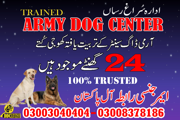 1685818534661Army dog center gwadar 03003040404-suragh rasan kuty.....Shahpur Chakar,Shah,pur jahania,.jpg