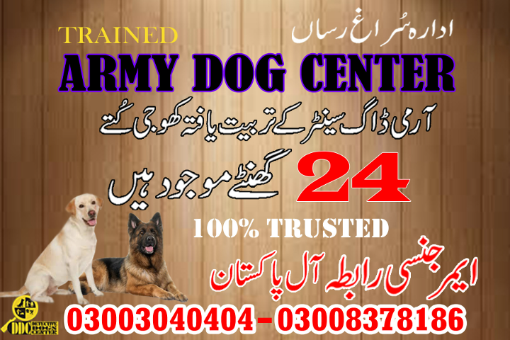 1685818653620Army dog center gwadar 03003040404-suragh rasan kuty.....Sann,Sehwan Sharif,Shahdadkot.jpg