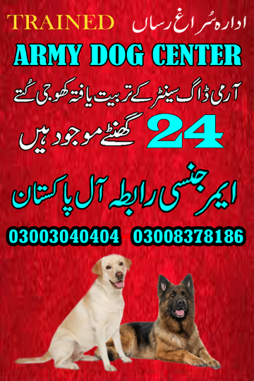 1685818758582Army dog center gwadar 03003040404-suragh rasan kuty.....Rohri,Sakrand,Samaro.jpg