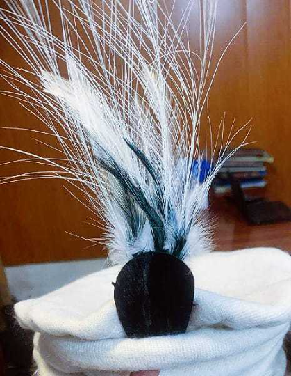 Gilgit Cap Gilgit Baltistan Traditional Cap - Fashion - GilgitApp