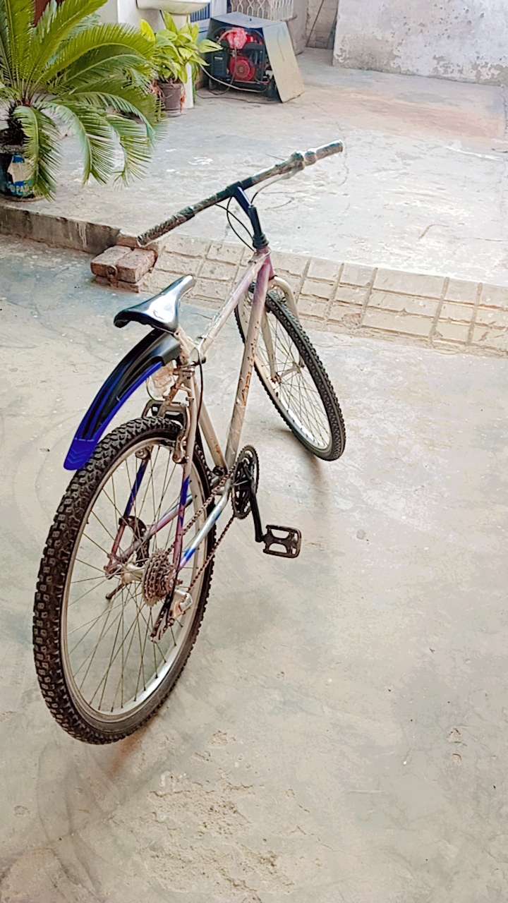 Phoenix cheap cycle olx