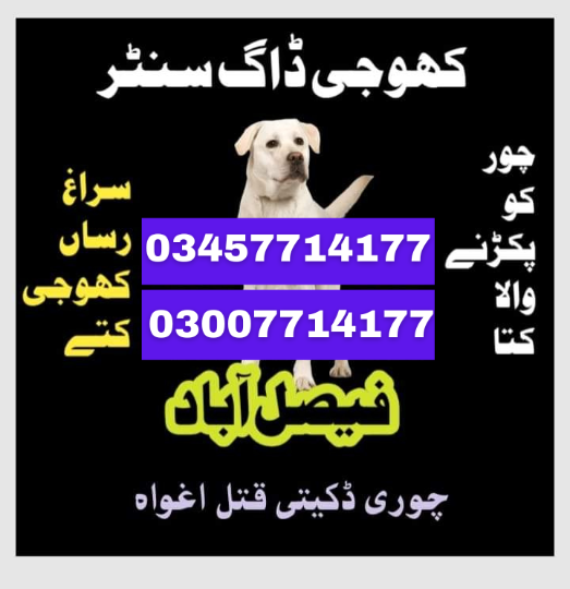 1708326951319Faisalabad03007714177-8.png