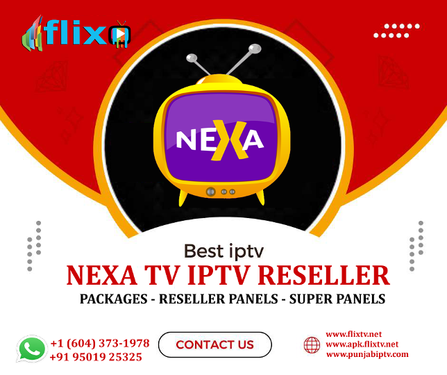 1718468988008nexa tv panel.png