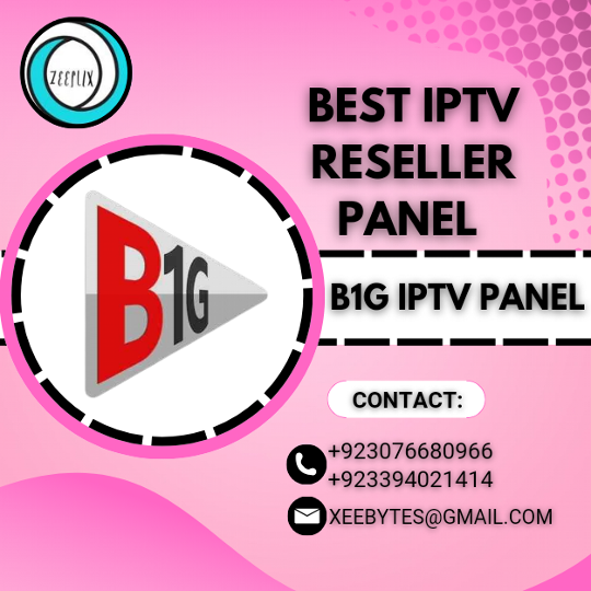 1732541588877B1G IPTV PANEL  B1G IPTV PANEL.png