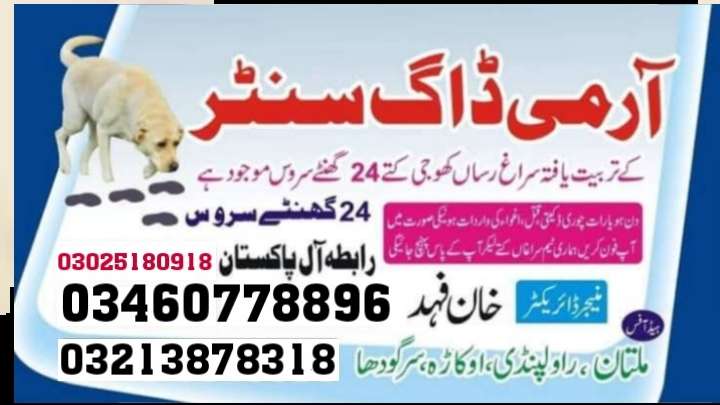 17399588597629758e2c6-3473-423b-b905-e71adab39232.jpg