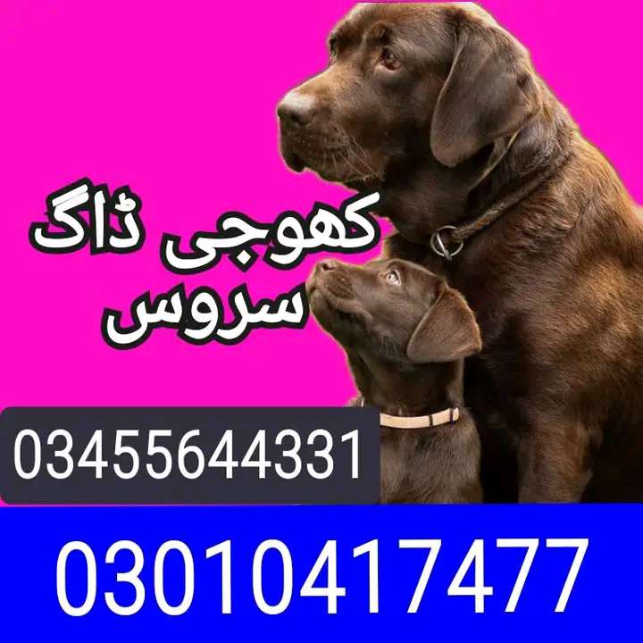 17556637463505a34e6dc-eda7-4368-b773-be85c66e7131.jpg