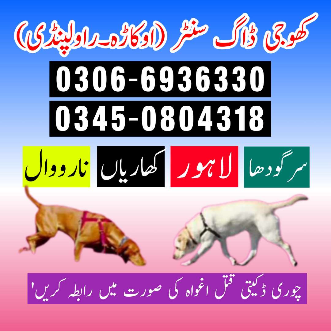 1756793359204acbad4ae-ac16-4bb6-865b-7c66375c6a8f.jpg