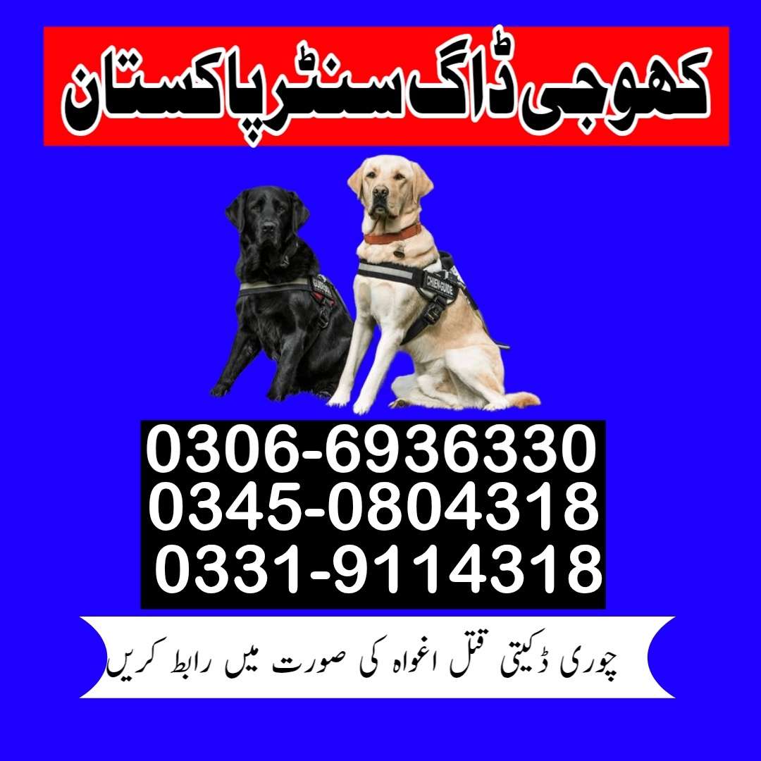 1757055331230d45a33f2-d579-4a80-a6a4-bea4baa93e6f.jpg