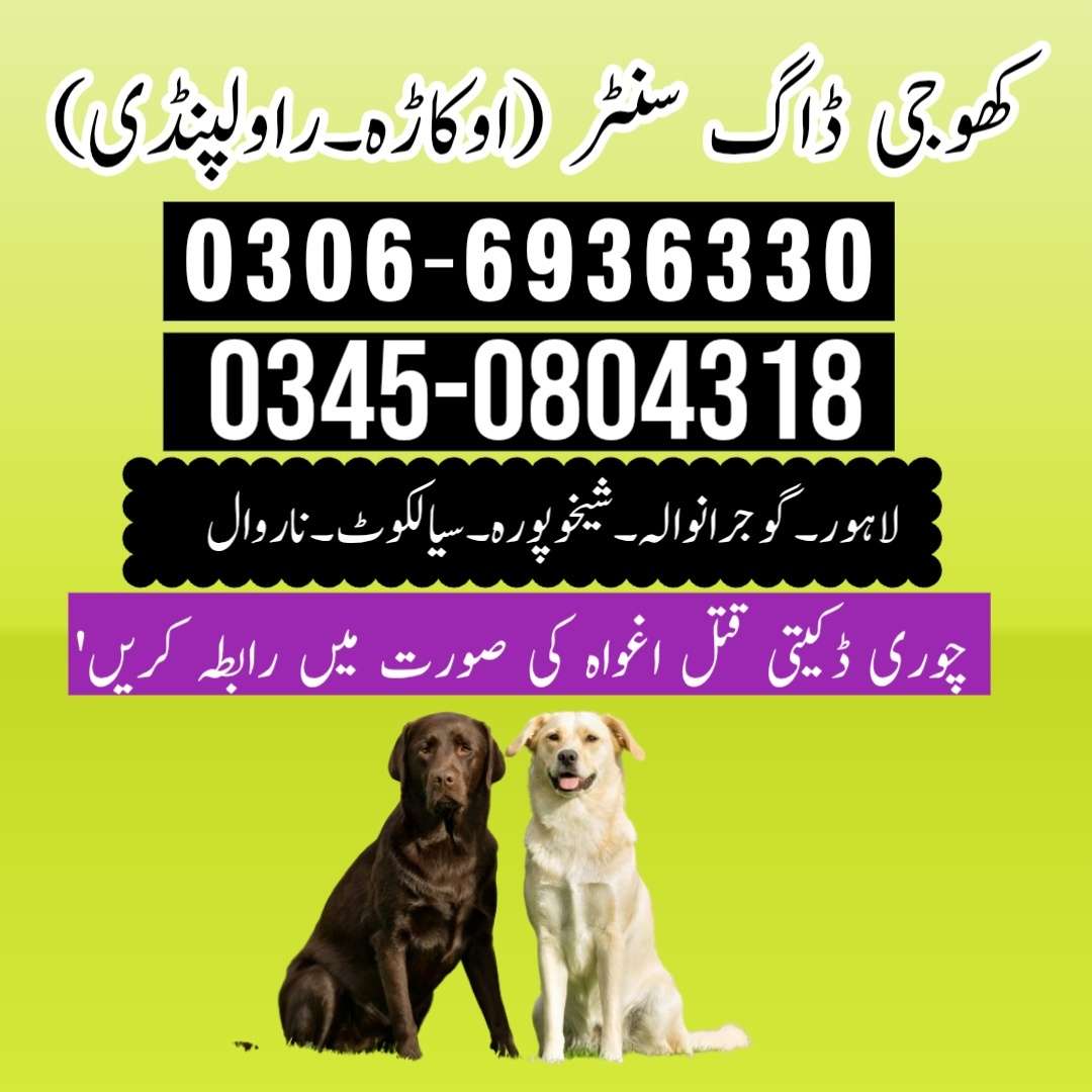 17581213737043acc6aef-4cc8-4084-8809-28a41cafc999.jpg