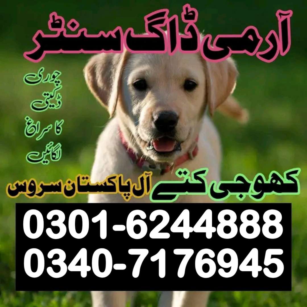1759328384407bfc51a53-4deb-4c9e-b0cf-2dc14a38b06e.jpg