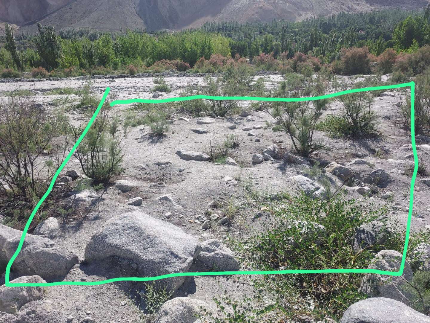 1782207402646d68d5bc2-0951-4434-b06d-25a1493f888c.jpg